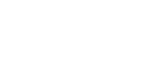Welsh womens aid logo
